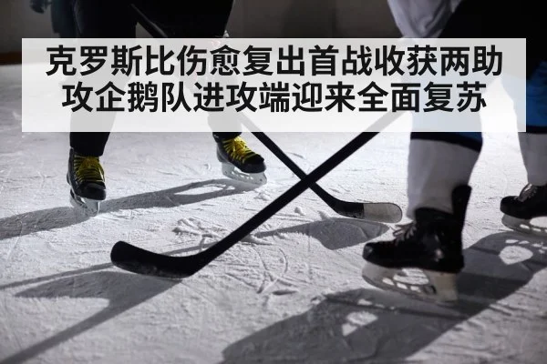 克罗斯比伤愈复出首战收获两助攻企鹅队进攻端迎来全面复苏