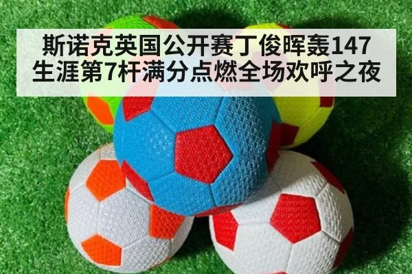 斯诺克英国公开赛丁俊晖轰147 生涯第7杆满分点燃全场欢呼之夜